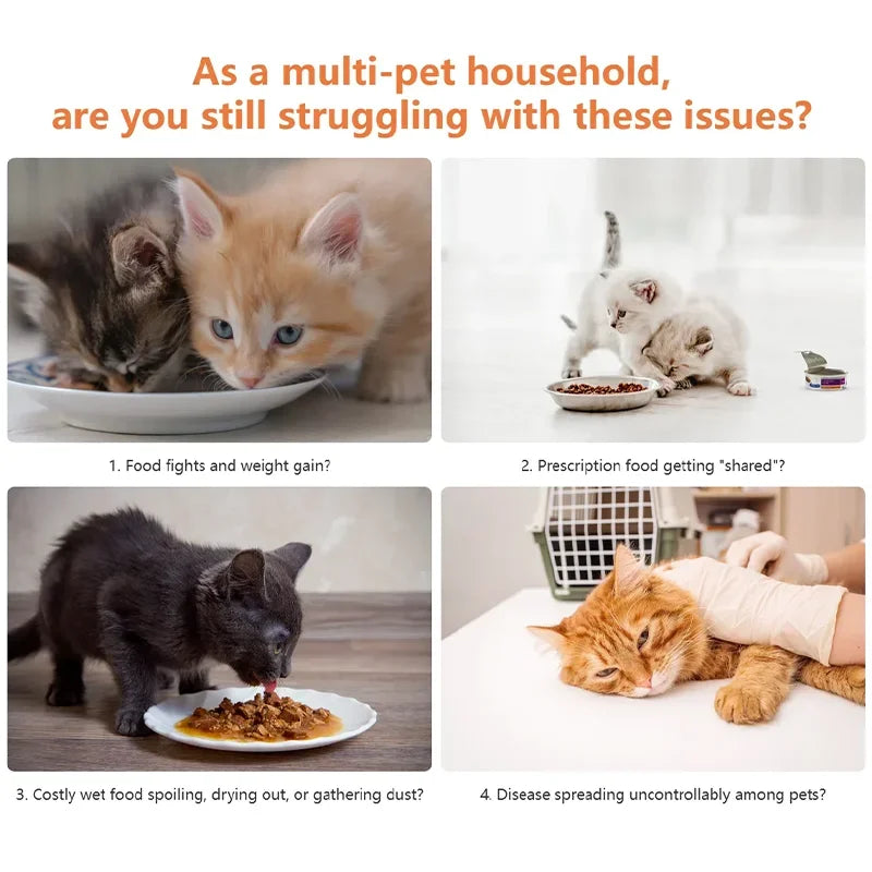 SmartBite | WiFi Automatic Pet Feeder with Sensor