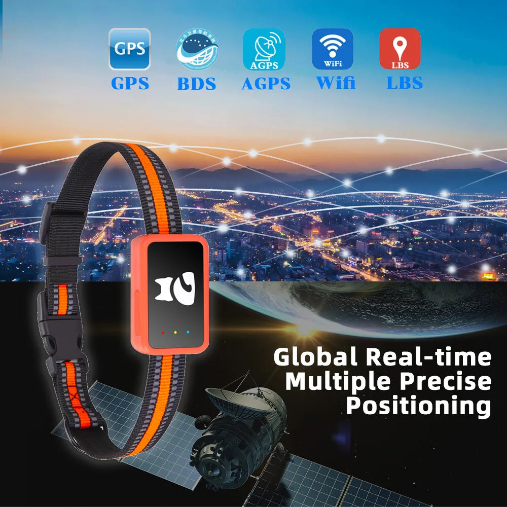 PawTrack 4G | GPS Pet Tracker with Health Monitor