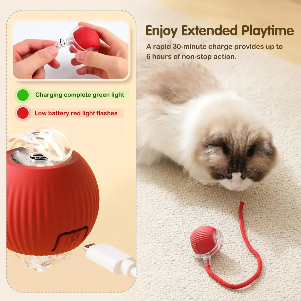 ChaseBall | Smart Interactive Cat Toy