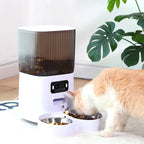 FeedView 5L | Smart Pet Feeder with Camera & Voice