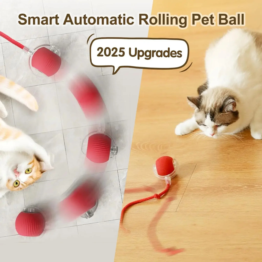 ChaseBall | Smart Interactive Cat Toy