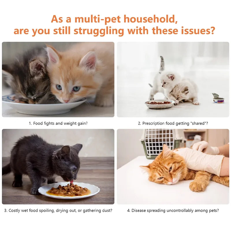 SmartBite | WiFi Automatic Pet Feeder with Sensor