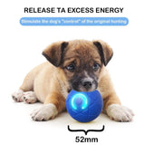 JumpJoy | Smart Interactive Bouncing Pet Ball