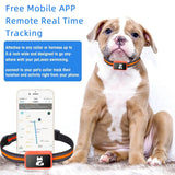 PawTrack 4G | GPS Pet Tracker with Health Monitor