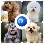 JumpJoy | Smart Interactive Bouncing Pet Ball