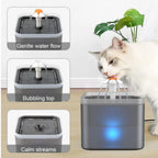 AquaPaw 2L | LED Pet Water Fountain