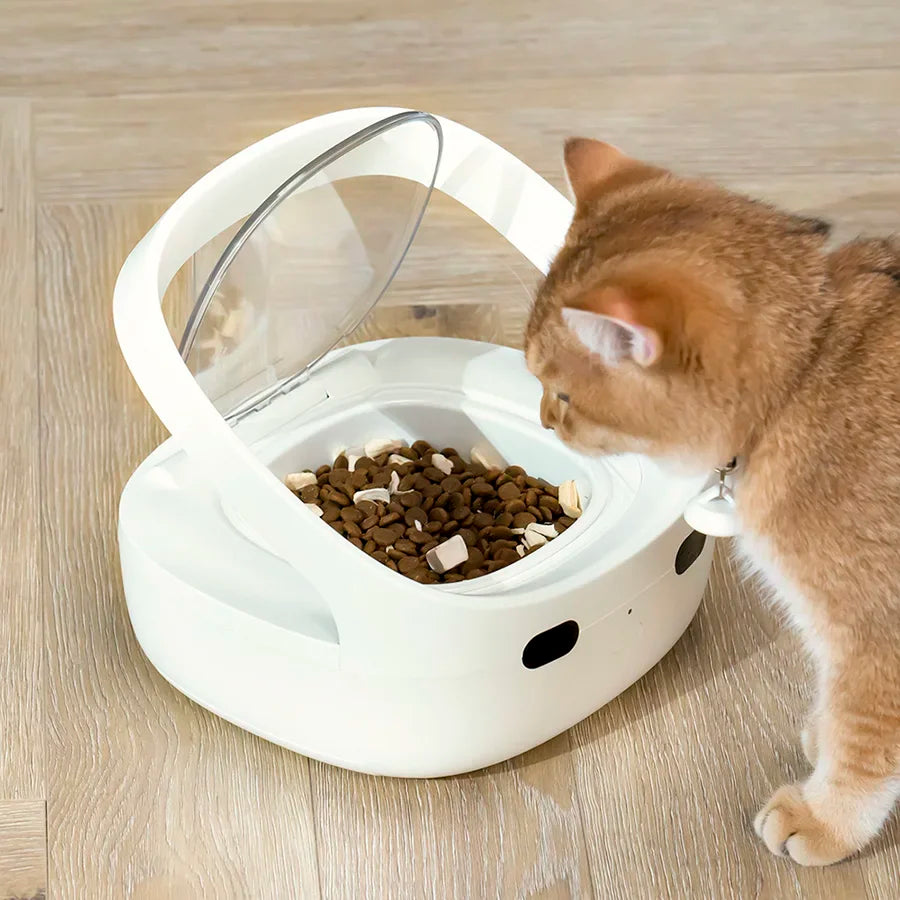 SmartBite | WiFi Automatic Pet Feeder with Sensor